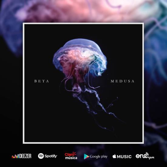 14883692_1271909622829341_6010060981647112065_o