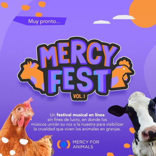 Mercy Fest Vol. 1