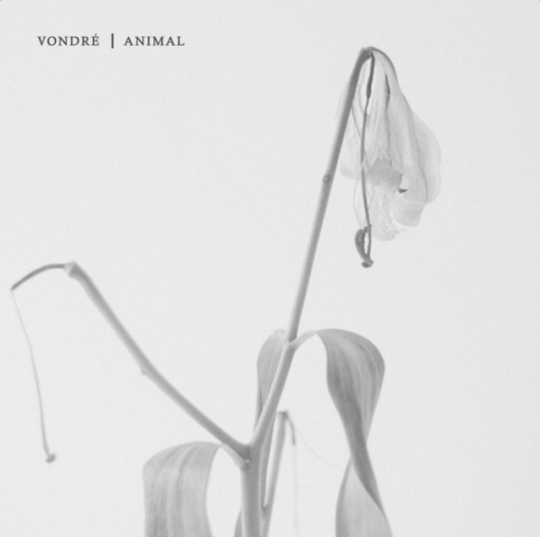 Vondré Animal