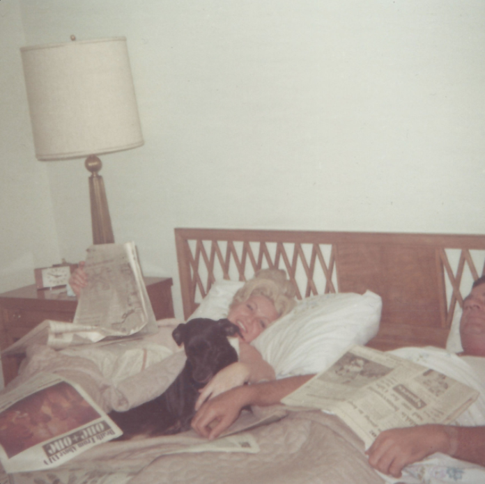 One + One Death From Above 1979 