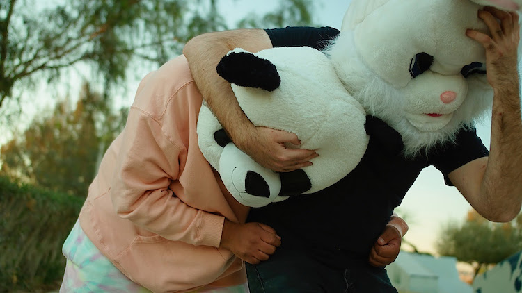 Mirando Dromedarios Mágicos Still