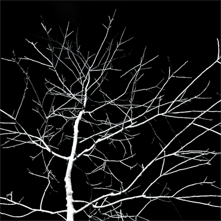 Hauntology Suffer Ring