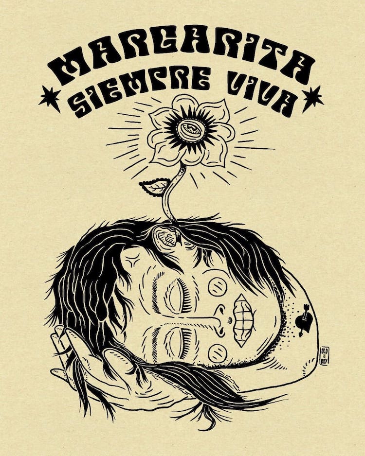 Margarita Siempre Viva Colombia Ilustración