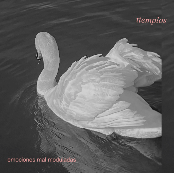 ttemplos emociones mal moduladas cover