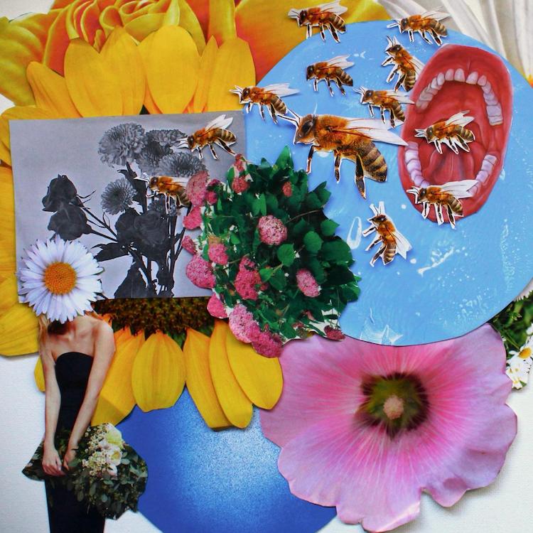 Honey Pot Apicultura para principiantes México