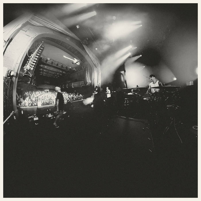 megafauna and so I watch you from afar