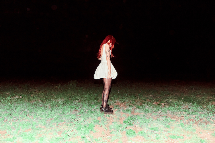 Odd Mami donde van los perros