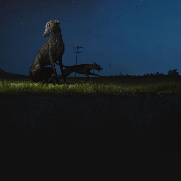 odd mami donde van los perros cover art