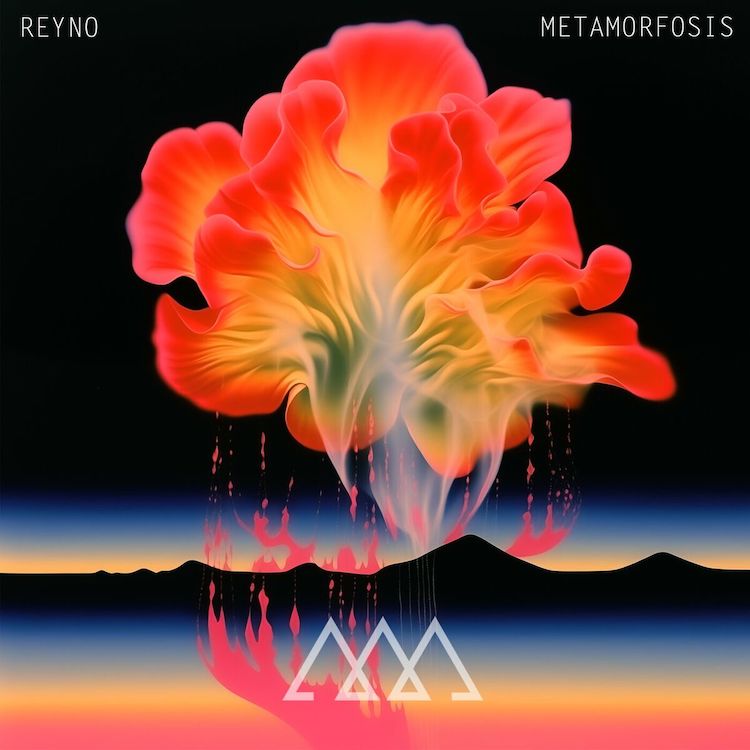reyno metamorfosis