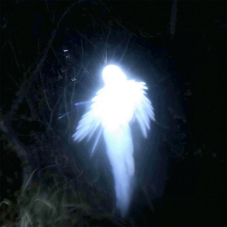 lux mensik cover art