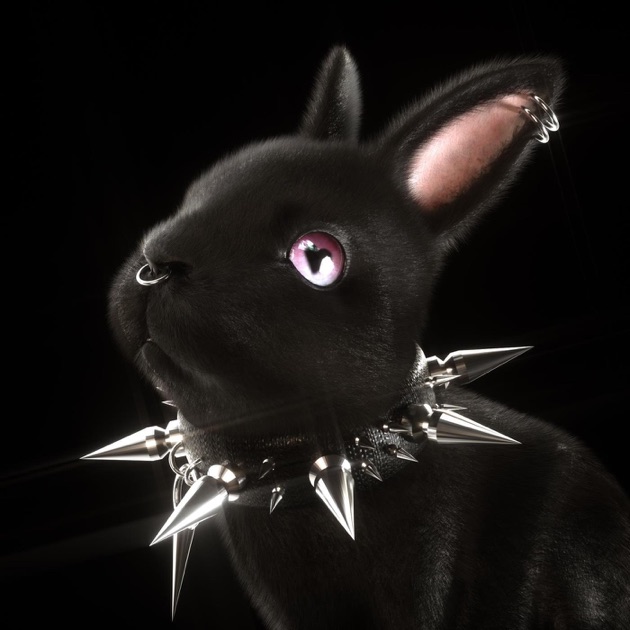 Vondré 00:00 México