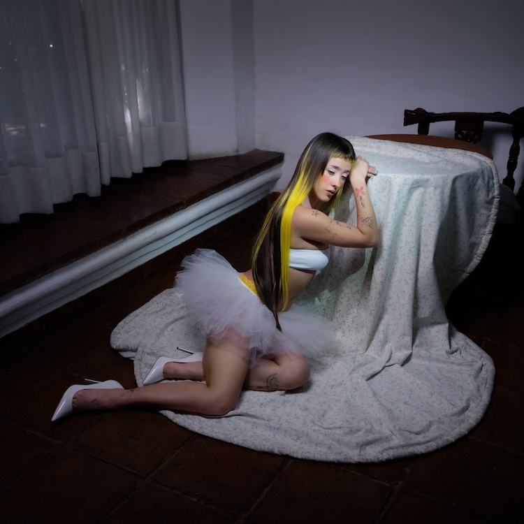 Consuelo Miranda Santizo Cover Art